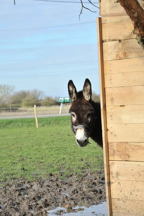 gite de groupe au coeur de la nature en Vendée